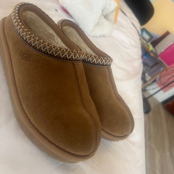 Ugh Tasmanian - Picture 1 of 1